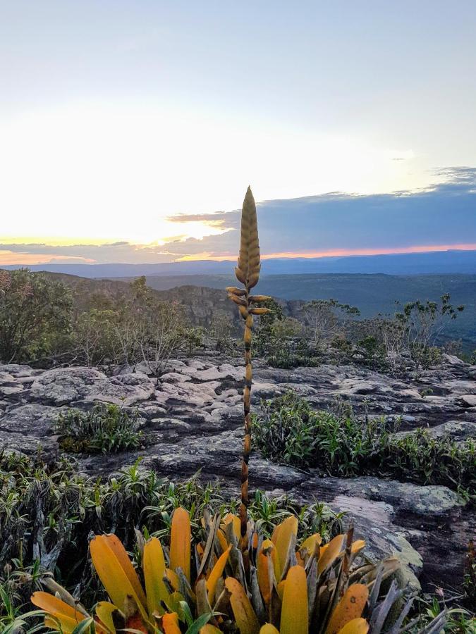 Pitaya Rosa Pousada Lencois Bagian luar foto